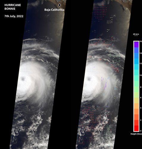 NASA's MISR Captures Hurricane Bonnie