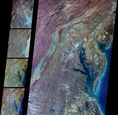 This is an example of the MISR Level 1B2 data product. It shows images of Delaware Bay, Chesapeake Bay, and the Appalachian Mountains acquired on March 24, 2000 during Terra orbit 1417. The large image on the right was taken by the MISR camera viewing straight down (nadir). The series of smaller images, from top to bottom, respectively, were taken by cameras viewing 70.5 degrees forward, 45.6 degrees forward, 45.6 degrees aftward, and 70.5 degrees aftward of nadir. These images cover the environs of Newark, Philadelphia, Baltimore, Washington, and Richmond. Differences in brightness, color, and contrast as a function of view angle are visible over both land and water. Scientists are using MISR data to monitor changes in clouds, Earth's surface, and pollution particles in the air, and to assess their impact on climate.These Level 1B2 product images have all been "rectified" and "geolocated" so that they use the same map projection and scale. This allows images from the nine cameras to be superimposed or compared directly. Without this, the respective images would each have different scales and perspectives because of the differing angles of view.Image Credit: NASA/GSFC/JPL, MISR Science Team. Catalog No. PIA02629
