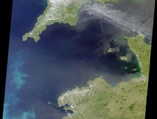 Coccoliths in the Celtic Sea