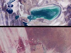 Windswept Shores of the Aral Sea