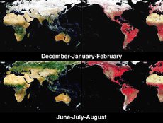 Global and Seasonal Surface Albedos from MISR