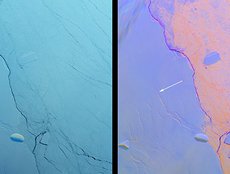 Growing Crack in Antarctica's Larsen C Ice Shelf Spotted by NASA's MISR