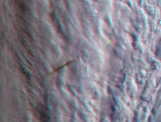 MISR Images Fireball Over Bering Sea (Anaglyph)