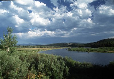 Oxbow bend in the Snake River: Dense dark vegetation and inland water cover vast areas of Earth, especially in the Northern Hemisphere, such as in this July 1994 scene of the Snake River in Oregon. Such areas warrant special study because of their climatic significance. MISR simultaneously measures properties of such surfaces and of the atmospheric particles above them.