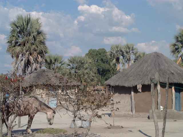 Nata boasts TWO gas stations, and they have unleaded.  This photo is of Nata, a typical village in these parts. Donkeys are all over, and are used to pull carts.  Alongside the 'tar' road is a dirt track for the carts.  Two worlds co-exist.