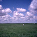 Wow, talk about Big Sky Country!  Jim is looking for a good area to set up. Criteria include size, flatness, and eveness of the grass.  You could say Jim is out standing in his field. Anyhow, we need as simple an experimental situation as can be found.  More complicated (i.e. realistic) sites will follow once we understand what's going on here.