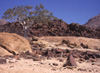 Brandburg is a lone granitic intrusion. Situated on the eastern edge of the Namib, it rises thousands of meters above the desert floor and appears quite circular from above, with a diameter of some 40km. In the photo, note crystal structures of the darker dolorite dike and ancient weathered granites. Identical dolorites are found on the eastern coast of Brazil.